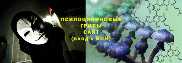 первитин Гусиноозёрск
