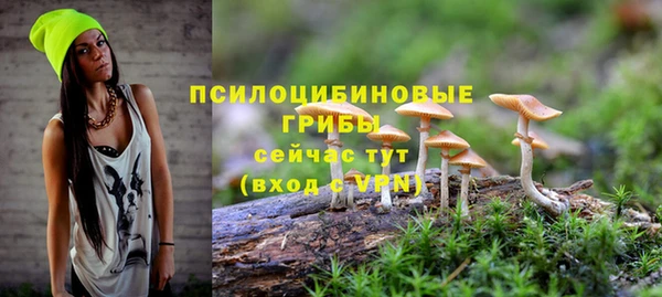 марки lsd Гусь-Хрустальный