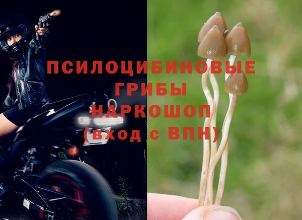 марки lsd Гусь-Хрустальный