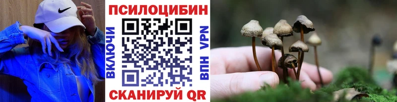 Купить закладки  Нижний Тагил  Галлюциногенные грибы прущие грибы 