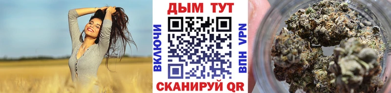 Купить закладки  Нижний Тагил  Конопля семена 